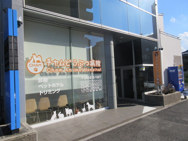 病院　チャムどうぶつ病院（病院）まで263m