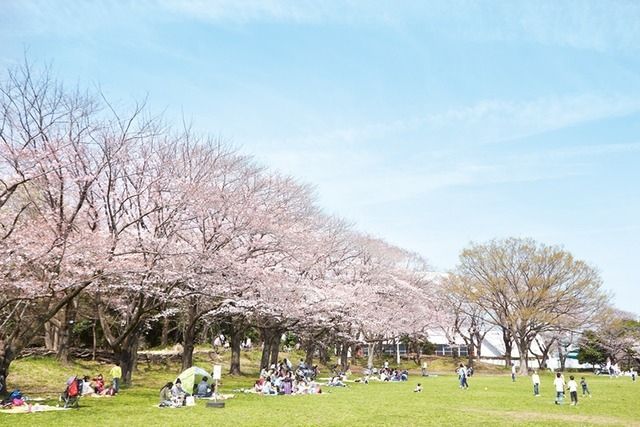 その他　引地台公園（その他）まで1968m