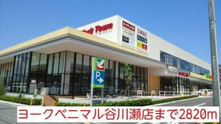 ショッピングセンター　ヨークベニマル谷川瀬店（ショッピングセンター）まで2820m