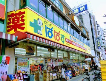 ドラックストア　どらっぐぱぱす下赤塚店（ドラッグストア）まで380m