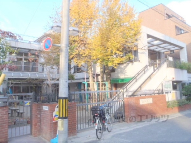 幼稚園・保育園　桂保育園（幼稚園・保育園）まで300m