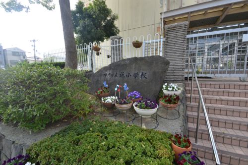 小学校　神戸市立 湊小学校（小学校）まで663m