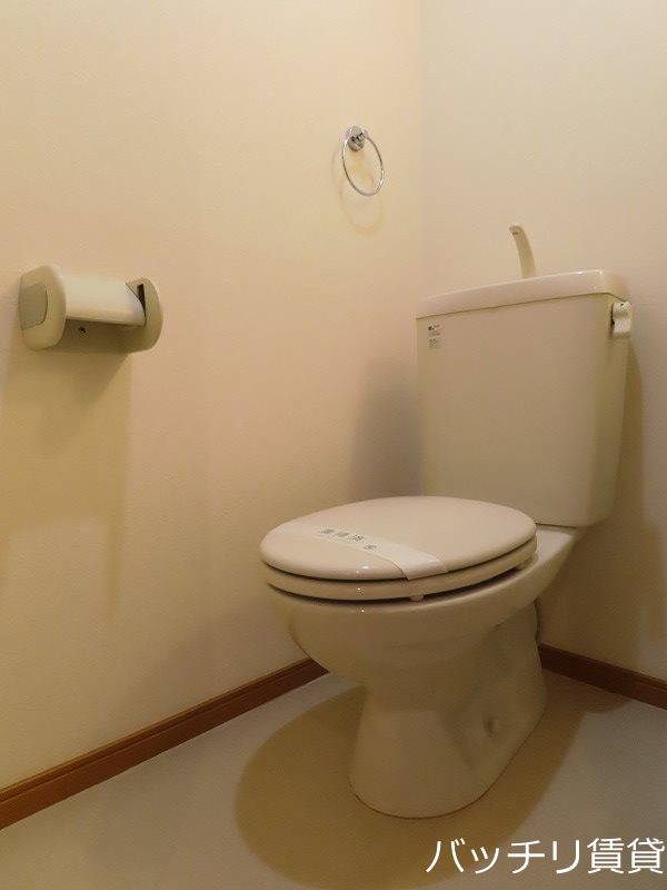 トイレ　類似写真使用のため、現状優先。