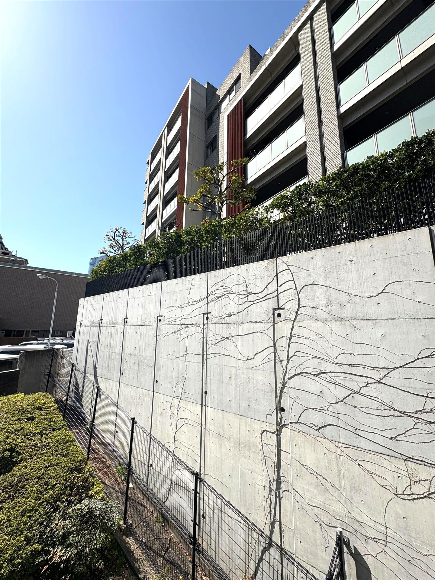 眺望　南西向き