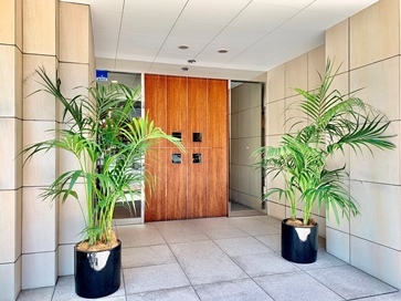 エントランス　落ち着いたエントランスです