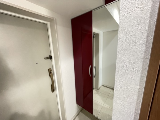 玄関　※別部屋の写真です