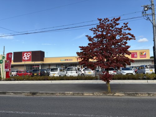 スーパー　コープ富田林店（スーパー）まで789m