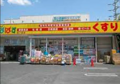 ドラックストア　どらっぐぱぱす西小岩店（ドラッグストア）まで270m