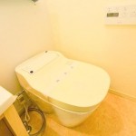 トイレ　※同仕様写真含む