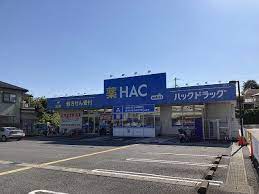 ドラックストア　ハックドラッグ長沢店（ドラッグストア）まで1037m