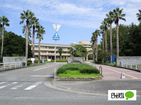 大学・短大　鳴門教育大学（大学・短大）まで349m