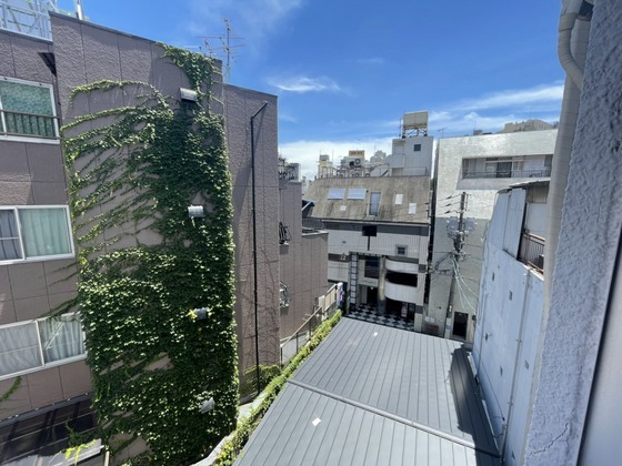 眺望　※別部屋の写真です