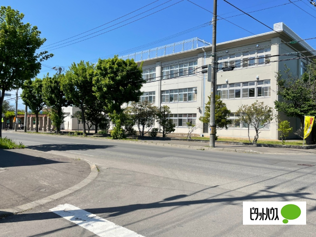 小学校　札幌市立星置東小学校（小学校）まで1111m