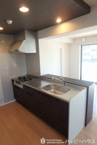 キッチン　写真はイメージになります現状を優先とします。ガスコンロは無い