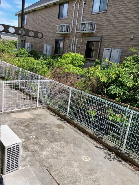 庭