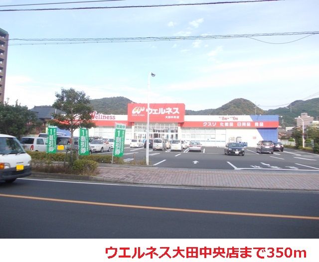 ドラックストア　ウエルネス大田中央店（ドラッグストア）まで350m