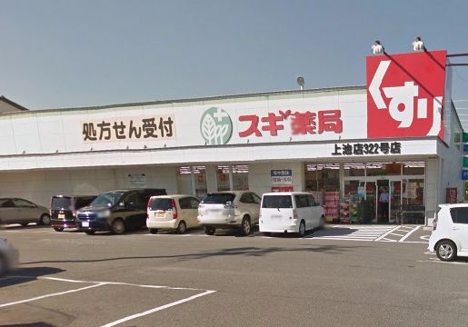 ドラックストア　スギ薬局上池店（ドラッグストア）まで899m