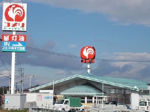 ホームセンター　コメリハード＆グリーン守山店（ホームセンター）まで1100m