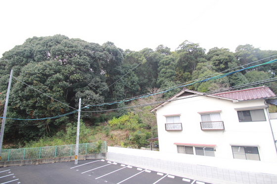 眺望　※別部屋の写真です