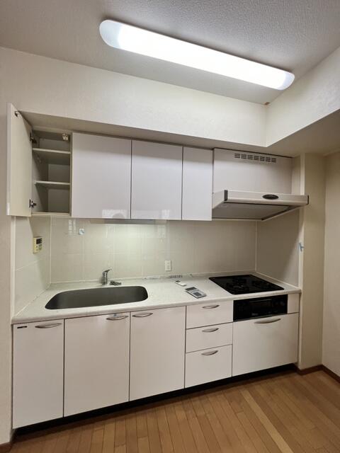 キッチン　※別部屋参考写真