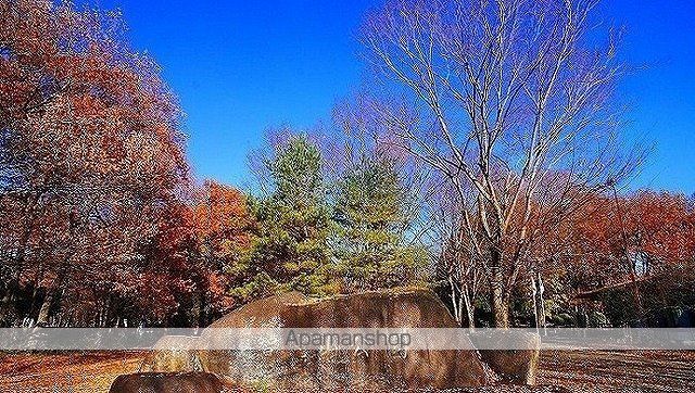 公園　智光山公園（公園）まで1600m