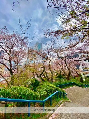 公園　掃部山公園（公園）まで250m