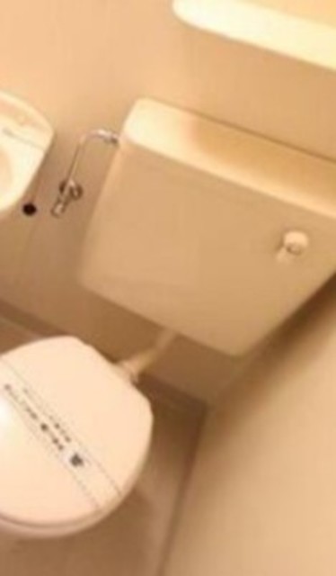 トイレ　同仕様タイプ　参考写真