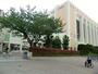 小学校　江戸川区立小松川小学校（小学校）まで560m
