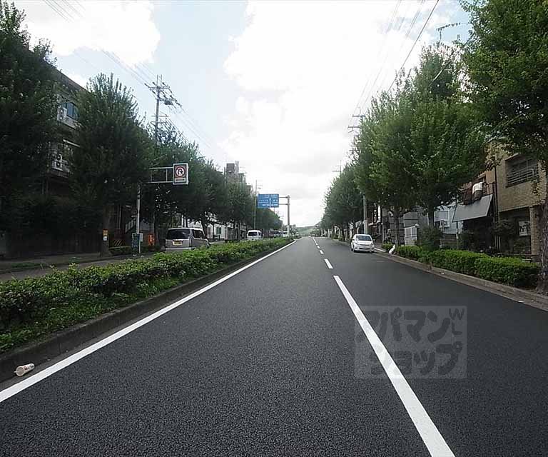 その他　前面道路です