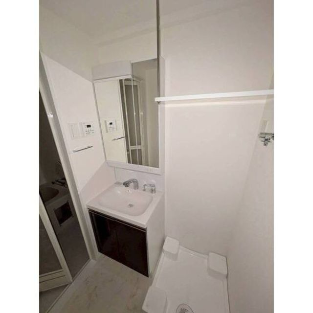 洗面設備　この色のタイプになります