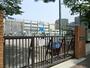 小学校　江東区立亀高小学校（小学校）まで540m