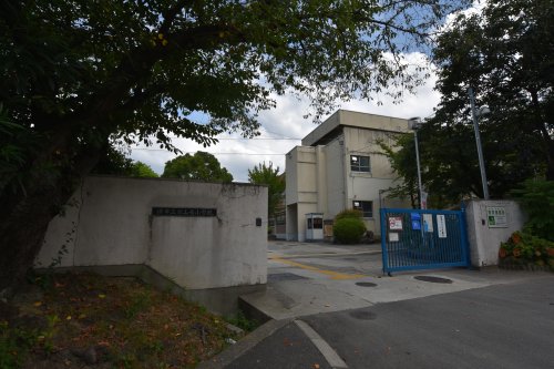 小学校　堺市立宮山台小学校（小学校）まで1079m