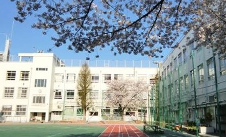 小学校　新宿区立江戸川小学校（小学校）まで228m