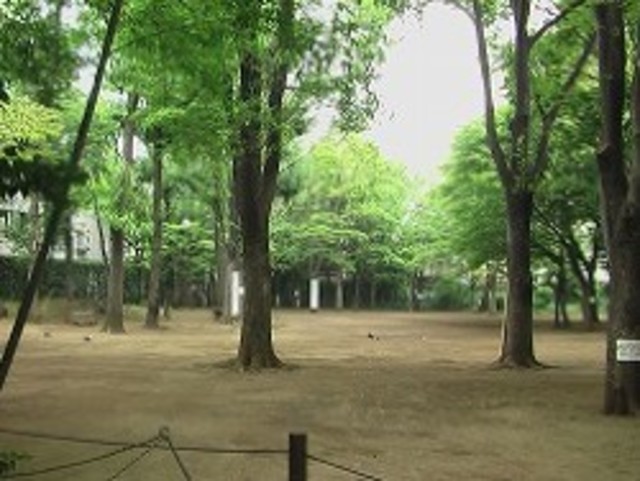 公園　中央緑地公園（公園）まで513m