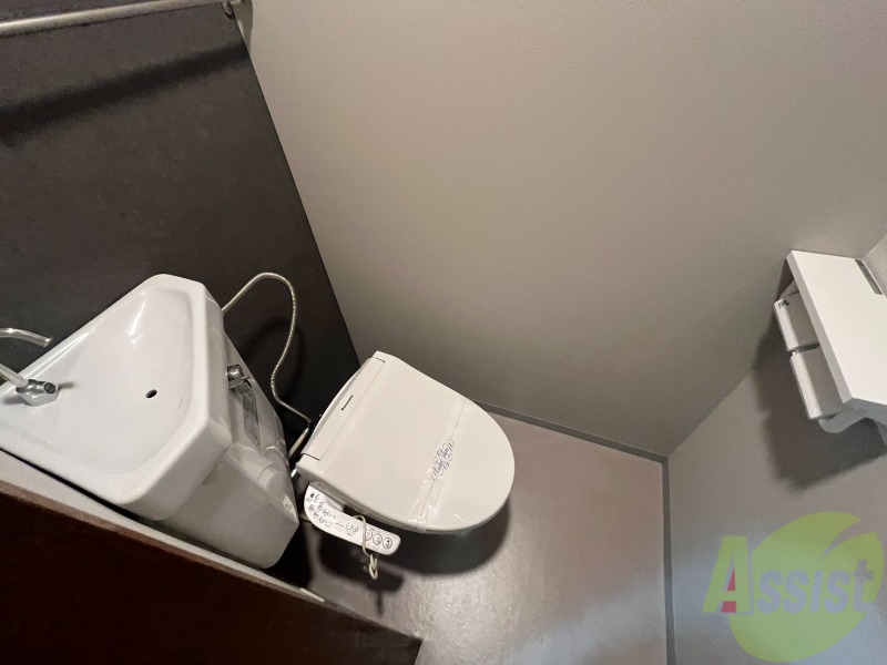 トイレ　清潔感があり安心して使用できるトイレになっておりました。