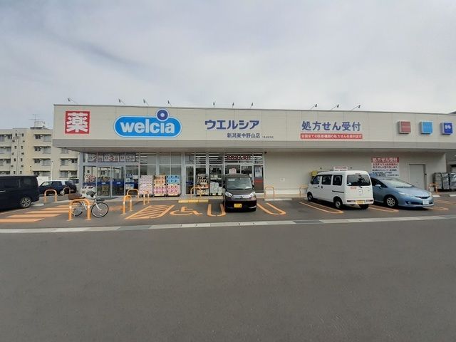ドラックストア　ウェルシア新潟東中野山（ドラッグストア）まで250m
