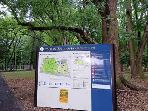 その他　砧公園（その他）まで1021m