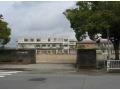 小学校　姫路市立津田小学校（小学校）まで986m