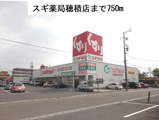 ドラックストア　スギ薬局　穂積店（ドラッグストア）まで750m
