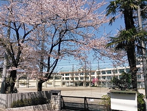中学校　練馬区立豊渓中学校（中学校）まで326m