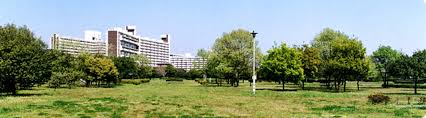 公園　中川公園（公園）まで273m