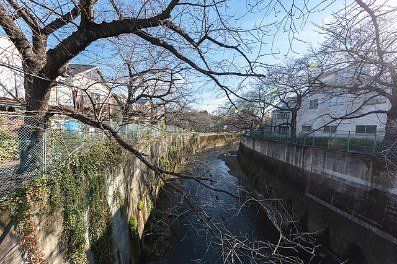 その他　王子新道から見える石神井川（その他）まで333m