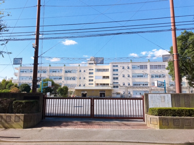 藤和シティコープ大倉山の周辺写真
