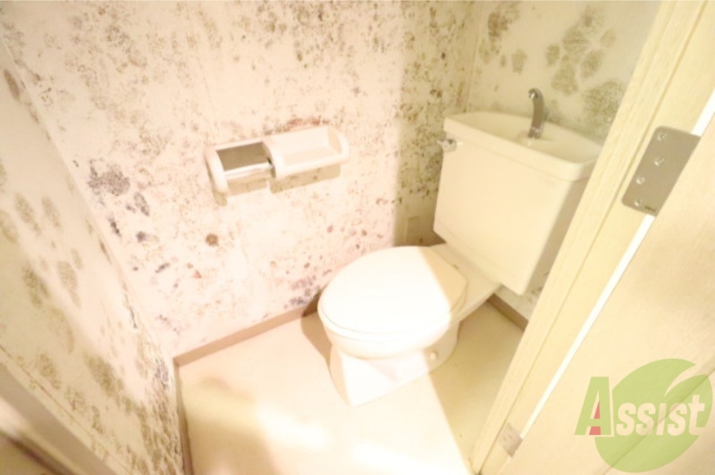 トイレ　アクセントクロスのトイレです
