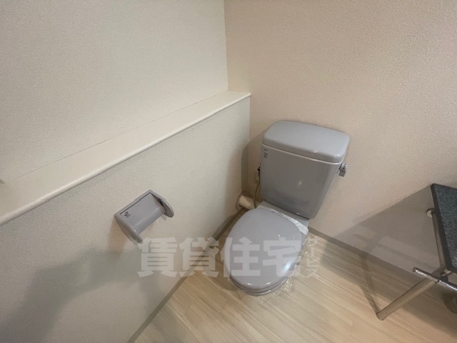 南海本線 堺駅 徒歩4分 12階建 築21年のトイレ写真