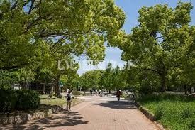 公園　長居公園（公園）まで647m