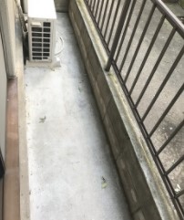 リトル上原の内装写真