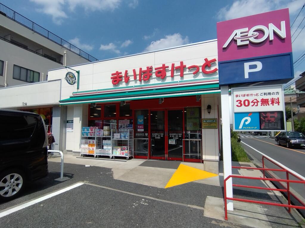 日暮里・舎人ライナー 西新井大師西駅 徒歩5分 2階建 築11年の周辺写真