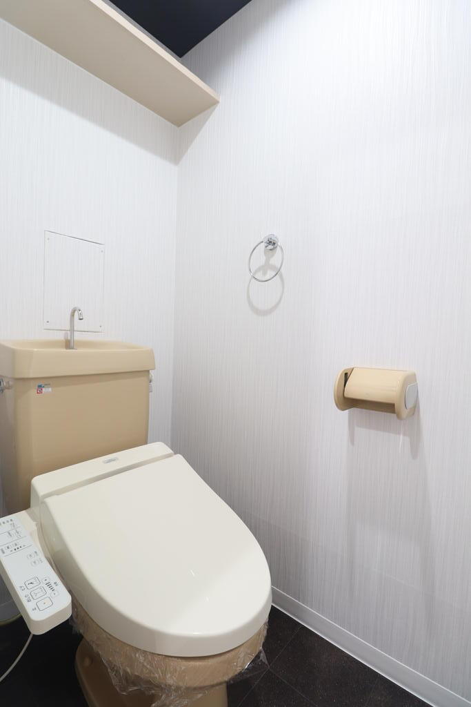サーン・レイのトイレ写真