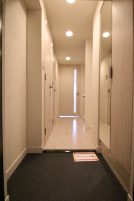 玄関　※別室の参考写真の為、現況優先です。